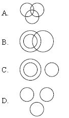 ""CBSE-Class-7-Mathematics-IMO-Olympiad-MCQs-with-Answers-Set-B-7