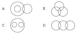 ""CBSE-Class-7-Mathematics-IMO-Olympiad-MCQs-with-Answers-Set-G-8