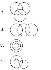 ""CBSE-Class-9-Mathematics-IMO-Olympiad-MCQs-with-Answers-Set-D-9