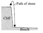 ""CBSE-Class-9-Science-NSO-Olympiad-MCQs-with-Answers-Set-B-13