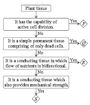 ""CBSE-Class-9-Science-NSO-Olympiad-MCQs-with-Answers-Set-C-19