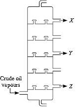 ""CBSE-Class-9-Science-NSO-Olympiad-MCQs-with-Answers-Set-C-23