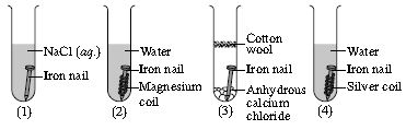 ""CBSE-Class-9-Science-NSO-Olympiad-MCQs-with-Answers-Set-C-24