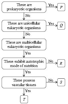 ""CBSE-Class-9-Science-NSO-Olympiad-MCQs-with-Answers-Set-D-18