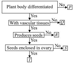 ""CBSE-Class-9-Science-NSO-Olympiad-MCQs-with-Answers-Set-E-14