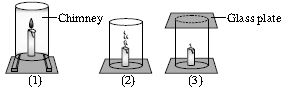 ""CBSE-Class-9-Science-NSO-Olympiad-MCQs-with-Answers-Set-F-10