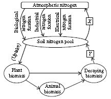 ""CBSE-Class-9-Science-NSO-Olympiad-MCQs-with-Answers-Set-H-15