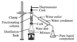 ""CBSE-Class-9-Science-NSO-Olympiad-MCQs-with-Answers-Set-H-19