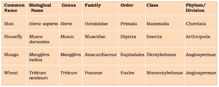 ""NCERT-Class-11-Biology-The-living-World-Important-Notes-2