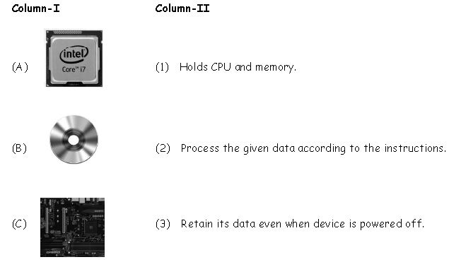 ""CBSE-Class-3-Computer-Fundamentals-of-Computer-MCQs-13