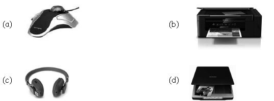 ""CBSE-Class-3-Computer-Hardware-and-Software-MCQs-14