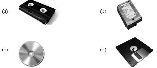 ""CBSE-Class-3-Computer-Hardware-and-Software-MCQs-17