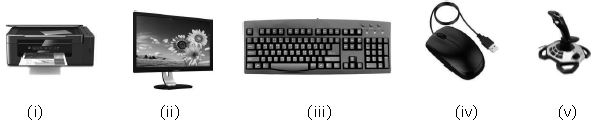 ""CBSE-Class-3-Computer-Input-Output-&-Storage-Devices-MCQs-19