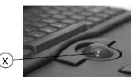 ""CBSE-Class-3-Computer-Input-Output-&-Storage-Devices-MCQs-5