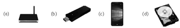 ""CBSE-Class-3-Computer-Introduction-to-Internet-MCQs-1
