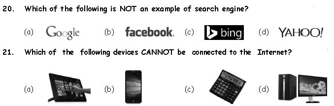 ""CBSE-Class-3-Computer-Introduction-to-Internet-MCQs-3