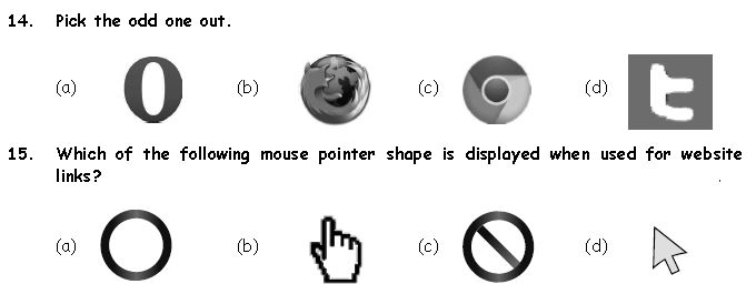 ""CBSE-Class-3-Computer-Introduction-to-Internet-MCQs