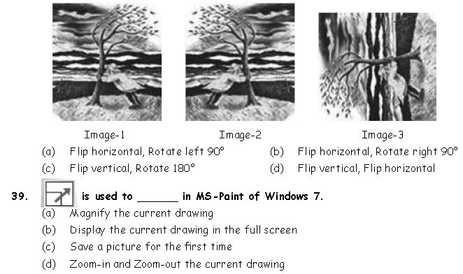 ""CBSE-Class-3-Computer-Ms-Paint-MCQs-25