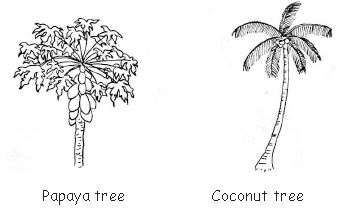 ""CBSE-Class-3-General-Knowledge-Plants-MCQs