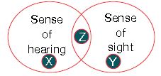 ""CBSE-Class-3-Science-NSO-Olympiad-MCQs-with-Answers-Set-N-21