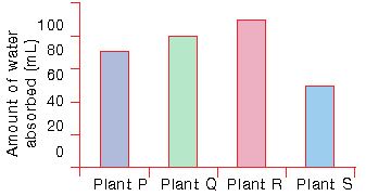 ""CBSE-Class-3-Science-NSO-Olympiad-MCQs-with-Answers-Set-N-8