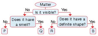 ""CBSE-Class-3-Science-NSO-Olympiad-MCQs-with-Answers-Set-N