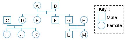 ""CBSE-Class-3-Science-NSO-Olympiad-MCQs-with-Answers-Set-O-13