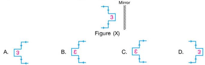 ""CBSE-Class-3-Science-NSO-Olympiad-MCQs-with-Answers-Set-Q-13