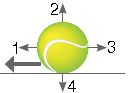 ""CBSE-Class-3-Science-NSO-Olympiad-MCQs-with-Answers-Set-Q-5