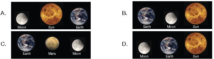 ""CBSE-Class-3-Science-NSO-Olympiad-MCQs-with-Answers-Set-Q-6