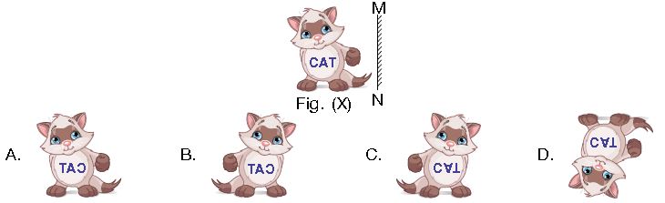 ""CBSE-Class-3-Science-NSO-Olympiad-MCQs-with-Answers-Set-S-12