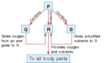 ""CBSE-Class-3-Science-NSO-Olympiad-MCQs-with-Answers-Set-U-23