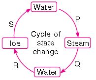 ""CBSE-Class-3-Science-NSO-Olympiad-MCQs-with-Answers-Set-W-4