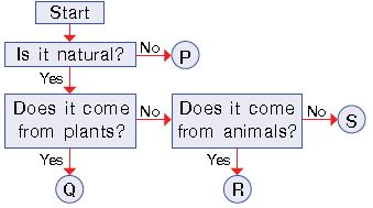 ""CBSE-Class-3-Science-NSO-Olympiad-MCQs-with-Answers-Set-W-8