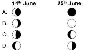 ""CBSE-Class-3-Science-NSO-Olympiad-MCQs-with-Answers-Set-W