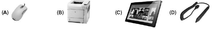 ""CBSE-Class-5-Computers-NCO-Olympiad-MCQs-with-Answers-Set-B-2