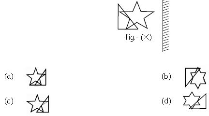 ""CBSE-Class-5-General-Knowledge-GK-Based-Reasoning-MCQs-10