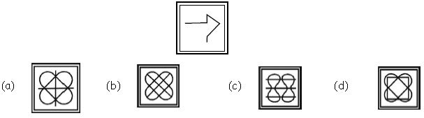 ""CBSE-Class-5-General-Knowledge-GK-Based-Reasoning-MCQs-5