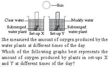 ""CBSE-Class-5-Science-NSO-Olympiad-MCQs-with-Answers-Set-J-16