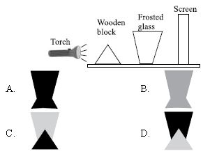 ""CBSE-Class-5-Science-NSO-Olympiad-MCQs-with-Answers-Set-J-19