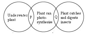 ""CBSE-Class-5-Science-NSO-Olympiad-MCQs-with-Answers-Set-J-21