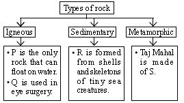 ""CBSE-Class-5-Science-NSO-Olympiad-MCQs-with-Answers-Set-J-22