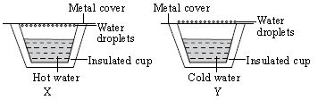 ""CBSE-Class-5-Science-NSO-Olympiad-MCQs-with-Answers-Set-J-30