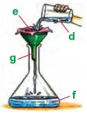 ""CBSE-Class-5-Science-NSO-Olympiad-MCQs-with-Answers-Set-L-15