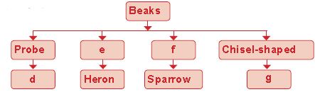 ""CBSE-Class-5-Science-NSO-Olympiad-MCQs-with-Answers-Set-L-20