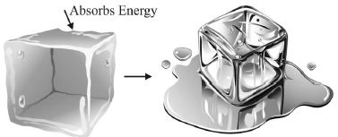 ""CBSE-Class-6-Science-Changes-Around-Us-Worksheet-Set-A-3