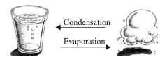 ""CBSE-Class-6-Science-Changes-Around-Us-Worksheet-Set-A-6