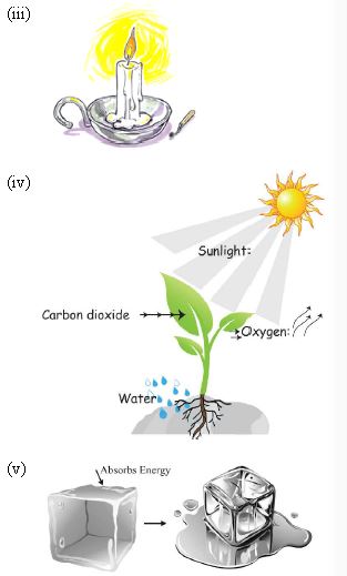 ""CBSE-Class-6-Science-Changes-Around-Us-Worksheet-Set-D-1