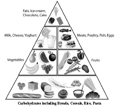 ""CBSE-Class-6-Science-Components-Of-Food-Worksheet-Set-A-3