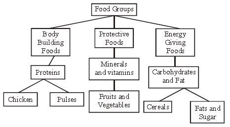 ""CBSE-Class-6-Science-Components-Of-Food-Worksheet-Set-A